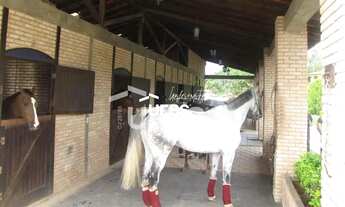 Imagem 13: Mansão no Park Way - Brasília - DF