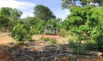 Imagem 6: Fazenda 250 alqueires (1.210 hectares) Trombas - Go