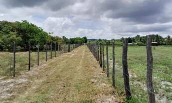 Imagem 3: Vendo lotes no Povoado Flexeiras em Santo Amaro das Brotas