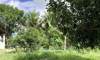 Imagem 3: Sítio para Venda em Flexeiras, Centro, 3 dormitórios, 1 banheiro