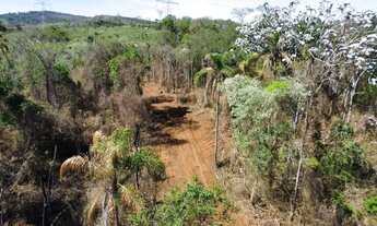 Imagem 5: L1- Terrenos com grande potencial de venda venha conhecer