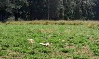 Imagem 2: Imóvel para venda tem 500 metros quadrados em Vargem do Salto - Ibiúna - SP