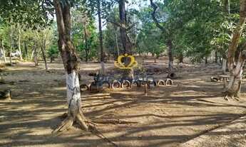 Imagem 3: EXCELENTE E ENORME CHÁCARA EM FRENTE AO RODOANEL