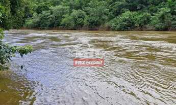 Imagem 5: Fazenda 255 Alqueires (1.234 Hectares) Palmas - To