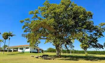 Imagem 6: Haras à venda na Região de Itú - SP