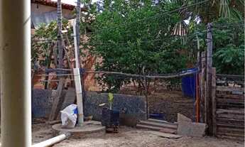 Imagem 3: CASA NO AURÁ 30.000 JL