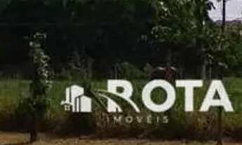 Imagem: Terrenos (juntos ou separadamente) - João