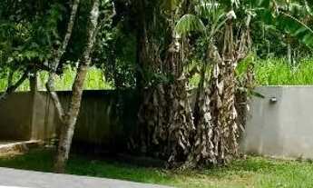 Imagem 5: Chacara na zona norte Buquirinha