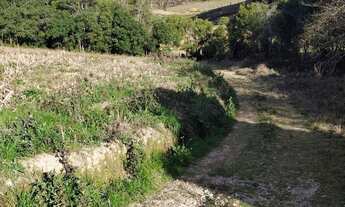 Imagem 3: Chácara 20.000m2 Fazenda Rio Grande