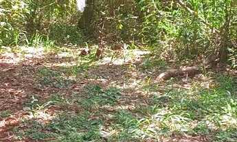 Imagem 5: Lote a venda no Setor habitacional Jardim Botânico- Brasília-DF