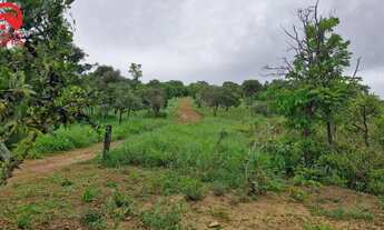 Imagem 2: Chácara para Venda em Brasília, Setor Habitacional Jardim Botânico, 2 dormitórios, 1 suíte