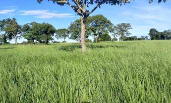 Imagem 7: Fazenda c/ 2.097he e 1.450he formados, 6km da BR, Jangada-MT