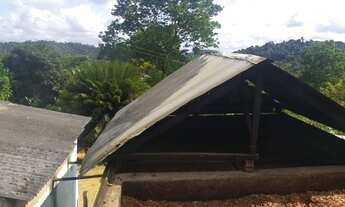 Imagem 5: Vendo Fazenda De Cacau Em Gandu