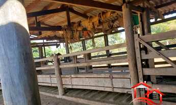 Imagem 2: Fazenda 150 Alq Região De Ituiutaba-MG