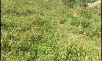 Imagem 4: Terreno aceita 22M de entrada e parcelas Vila Marcelo - São Paulo - SP