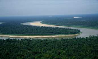 Imagem 4: 5.000 Hectares, área de compensação Ambiental No Bioma Amazônia, Documentação Ok, Amazonas