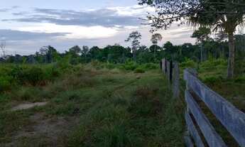 Imagem 4: Vende-se Sitio 16 alqueires