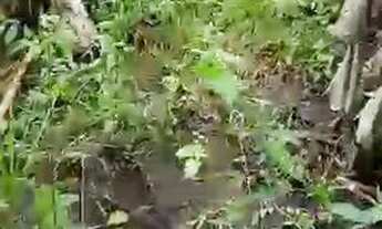 Imagem 5: Vende-se ou troca por picape strada