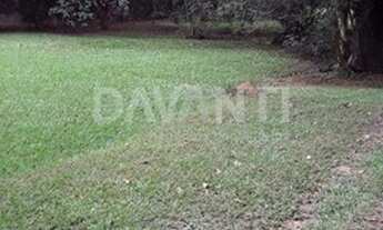 Imagem 2: Terreno - Joaquim Egídio - Campinas