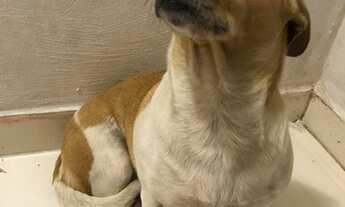 Imagem 1: Casa Curitiba Casa com 2 dormitórios