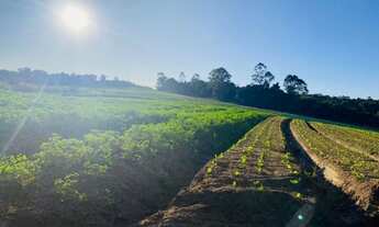 Imagem: Terrenos com otima Localização 1.000M²
