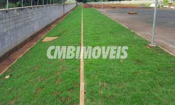 Imagem 4: Galpão - Betel - Paulínia