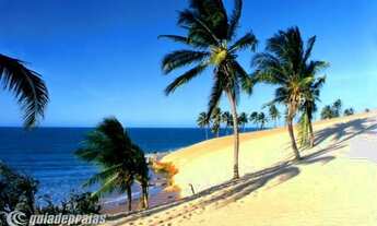 Imagem 4: Lotes, Terrenos em Praia de Lagoinha - CE