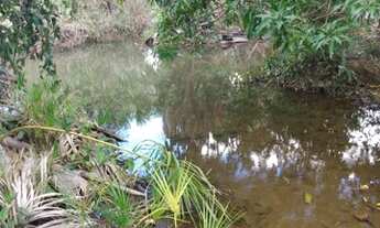 Imagem 4: Fazenda 180 Alqueires m vídeo nort