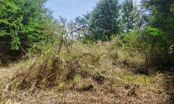 Imagem 3: Lote Garavelo Sul