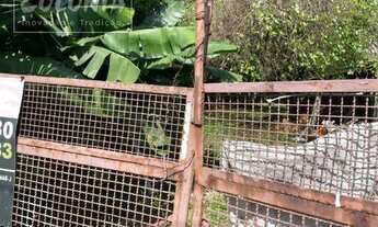 Imagem 2: São Caetano do Sul - Terreno Padrão - São José