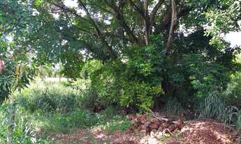 Imagem 2: TERRENO ENCONTRO DAS AGUAS