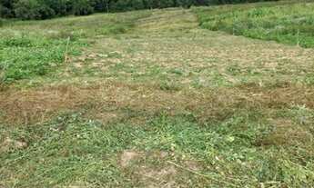 Imagem 4: 11o- Lote à venda sem consulta ao spc e Serasa