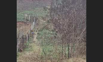 Imagem: 2235 REF Terreno à venda no Soledade