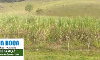 Imagem 4: Linda fazenda em Itaguara/MG bem localizada com nascente, mina e lagoa