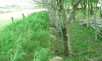 Imagem 5: Boituva - Terreno Padrão - Nova Rheata