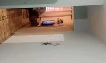 Imagem 3: Oportunidade casa sobrado 170 mil a vista