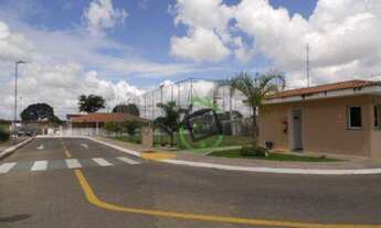 Imagem 3: Apartamento com 2 dormitórios para alugar, 49 m² por R$ 650,00/mês - Parque Cecap - Araraq