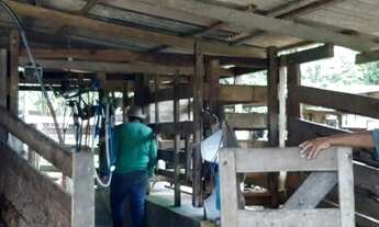 Imagem 4: Vende-se sitio Guarantã do norte - MT