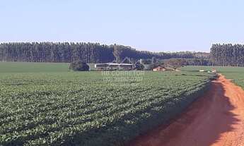 Imagem 7: Coromandel - Fazenda - Centro