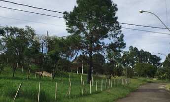 Imagem 7: Terreno - Bairro das Palmeiras - Campinas