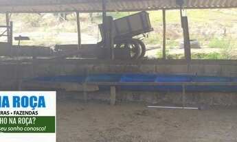 Imagem 6: Linda fazenda em Itaguara/MG bem localizada com nascente, mina e lagoa