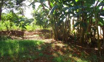 Imagem: Terreno - Mansões Santo Antônio - Campinas