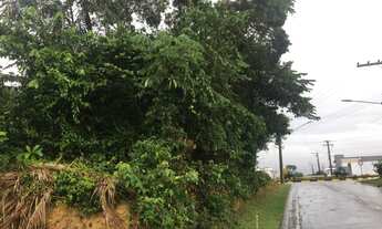 Imagem 7: Lote/Terreno para venda tem 330 metros quadrados em Ponta Negra - Manaus - Amazonas