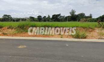 Imagem 5: Terreno - Tijuco das Telhas - Campinas