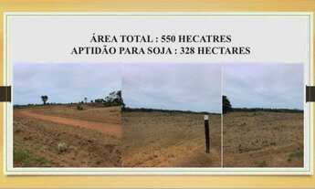 Imagem 7: Fazenda dupla aptidão Gurupi - TO