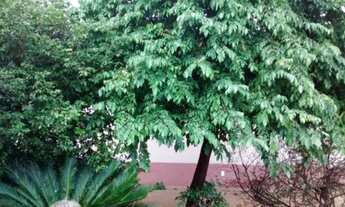 Imagem 15: São José do Rio Preto - Casa Padrão - Jardim Bosque das Vivendas