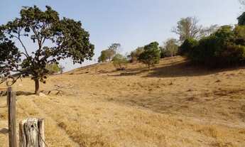 Imagem 7: Fazenda de 65 alqueires em Córrego do ouro-Go