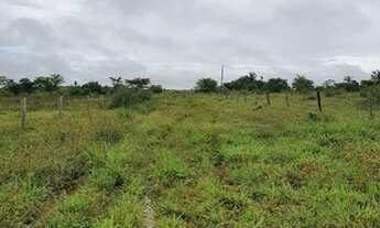 Imagem: 7.200 hectares Matupá- MT