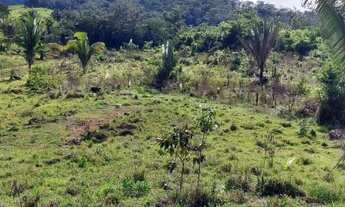 Imagem 5: 25.5 Alqueires Escriturado 32 Km da Cidade de Ariquemes