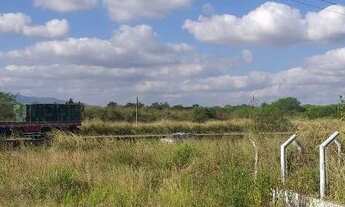 Imagem 3: Vendo área de terreno com 3 hectares na BR 232 na Cidade de Caruaru PE